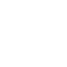 ekspresowa dostawa - ikona