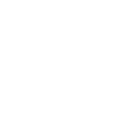 wsk - ikona